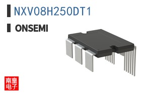 NXV08H250DT1